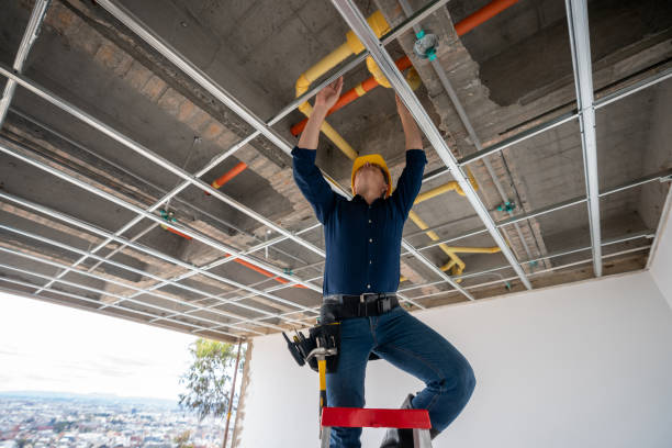 Best Plumbing Services Near Me  in Rochester, MN