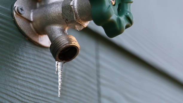 Best Plumbing Inspection Services  in Rochester, MN